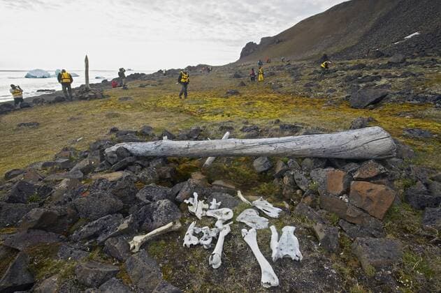 Remnants of primitive hut where Hjalmar Johansen and Fridtjof Nansen overwintered in Arctic Russia, during Fram Expedition, 1895-96, Franz Josef Land, Russia, July 2004.  1473755 PalxHermansen