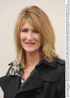 American actress Laura Dern attending the Burberry Prorsum Womenswear A W 2016 on West Albert Lawn in Kensington Gardens, London. FEBRUARY 22nd 2016  PTYx16459
