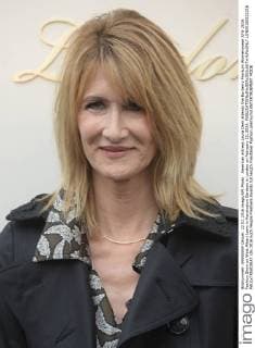 American actress Laura Dern attends the Burberry Prorsum Womenswear A W 2016 Fashion Show on West Albert Lawn in Kensington Gardens in London on February 22, 2016.  LON20160222216 PAULxTREADWAY