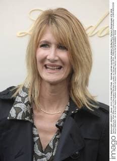 American actress Laura Dern attends the Burberry Prorsum Womenswear A W 2016 Fashion Show on West Albert Lawn in Kensington Gardens in London on February 22, 2016.  LON20160222218 PAULxTREADWAY
