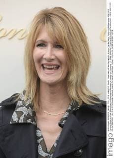 American actress Laura Dern attends the Burberry Prorsum Womenswear A W 2016 Fashion Show on West Albert Lawn in Kensington Gardens in London on February 22, 2016.  LON20160222221 PAULxTREADWAY