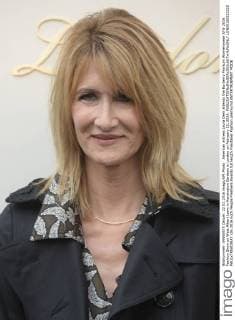 American actress Laura Dern attends the Burberry Prorsum Womenswear A W 2016 Fashion Show on West Albert Lawn in Kensington Gardens in London on February 22, 2016.  LON20160222222 PAULxTREADWAY