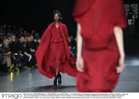 A model takes to the catwalk during the presentation of Issey Miyake s show as part of the Fall-Winter 2016-2017 Fashion Week in Paris on March 4, 2016.  PAR20160304104 MAYAxVIDON-WHITE