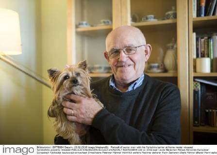 Portrait of senior man with his Yorkshire terrier at home model released Symbolfoto property released  RAEF000859