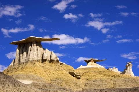 Steinhuete im Valley of Dreams, USA, New Mexico, Valley of Dreams stone hats at the Valley of dreams, USA, New Mexico, Valley of Dreams BLWS419389 Copyright: xblickwinkel McPHOTO U.xGernhoeferx