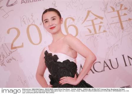 MACAU, CHINA - MARCH 08: (CHINA OUT) Actress Song Jia attends the Gold Aries Award Of Macau International Film Festival on March 8, 2016 in Macau, China.  CFP480844670