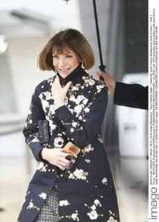 Paris Fashion Week - Gäste der Louis Vuitton Modenschau Anna Wintour - Pret a Porter - 09 03 2016 GwendolineLeGoff Panoramic 