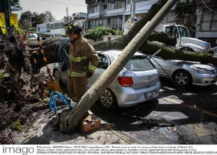 Firemen work in order to remove a fallen tree in a street of Mexico City, Mexico, 9 March 2016, where electricity cuts and roads closing were caused by the heavy storms registered along with strong gusts of wind. STRONG STORMS REGISTERED IN MEXICO !ACHTUNG: NUR REDAKTIONELLE NUTZUNG!  MEX01 20160310-635931648488291657