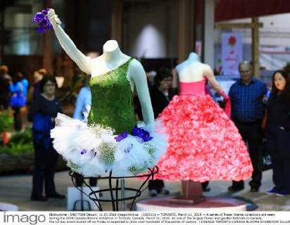 (160312) -- TORONTO, March 11, 2016 -- A series of flower theme collections are seen during the 2016 Canada Blooms exhibition in Toronto, Canada, March 11, 2016. As one of the largest flower and garden festivals in Canada, the 10-day event kicked off on Friday is expected to draw over hundreds of thousands of visitors. ) CANADA-TORONTO-CANADA BLOOMS EXHIBITION ZouxZheng 