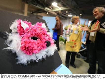 (160312) -- TORONTO, March 11, 2016 -- A dried plant material mask is seen during the 2016 Canada Blooms exhibition in Toronto, Canada, March 11, 2016. As one of the largest flower and garden festivals in Canada, the 10-day event kicked off on Friday is expected to draw over hundreds of thousands of visitors. ) CANADA-TORONTO-CANADA BLOOMS EXHIBITION ZouxZheng 