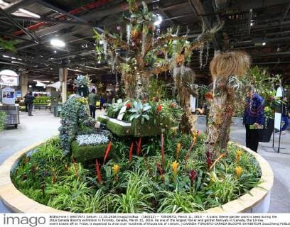 (160312) -- TORONTO, March 11, 2016 -- A piano theme garden work is seen during the 2016 Canada Blooms exhibition in Toronto, Canada, March 11, 2016. As one of the largest flower and garden festivals in Canada, the 10-day event kicked off on Friday is expected to draw over hundreds of thousands of visitors. ) CANADA-TORONTO-CANADA BLOOMS EXHIBITION ZouxZheng 