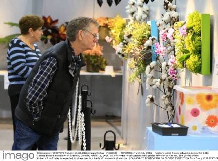 (160312) -- TORONTO, March 11, 2016 -- Visitors watch flower artworks during the 2016 Canada Blooms exhibition in Toronto, Canada, March 11, 2016. As one of the largest flower and garden festivals in Canada, the 10-day event kicked off on Friday is expected to draw over hundreds of thousands of visitors. ) CANADA-TORONTO-CANADA BLOOMS EXHIBITION ZouxZheng 