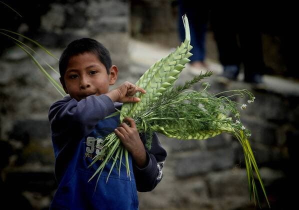 (160320) -- MEXICO CITY, March 20, 2016 -- A boy holds a branch of palm on the occasion of Palm Sunday, in the framework of Holy Week, in Mexico City, capital of Mexico, on March 20, 2016. Jorge R¨ªos) (jp) (fnc) MEXICO-MEXICO CITY-HOLY WEEK e JorgexR¨ªosxponce 