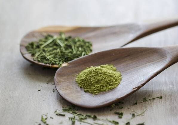Moringa oleifera, powder and chopped leaves on wooden spoons  GSF001063