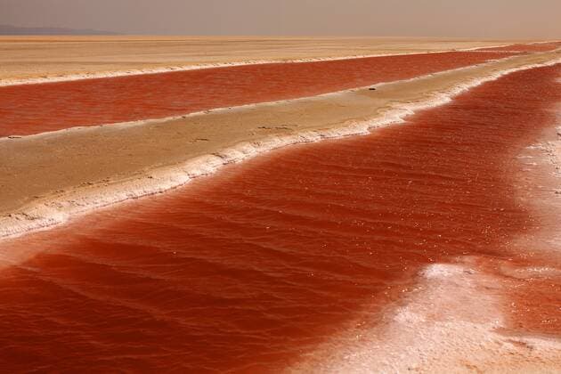 Tunisia, near Tozeur, Chott El Jerid, salt lake  DSGF001059