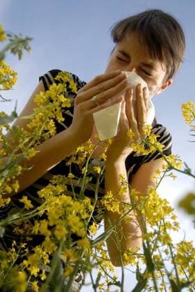 junge Frau im Rapsfeld hat Heuschnupfen und putzt sich die Nase, Deutschland young woman in a rapefield with , Germany BLWS243020 Copyright: xblickwinkel McPHOTO B.xLeitnerx
