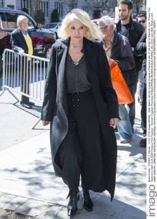 Ellen Barkin bei der Animal Kingdom Premiere am 17.04.2016 im Rahmen vom Tribeca Film Festival in New York 2016 Tribeca Film Festival - Animal Kingdom Premiere 