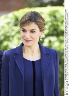 April 23, 2016 - Alcala De Henares, Madrid, Spain - Queen Letizia of Spain attended Cervantes Award to Fernando del Paso at the Alcala de Henares University on April 23, 2016 in Alcala de Henares, near of Madrid, Spain. Alcala De Henares Spain  - ZUMAg15_