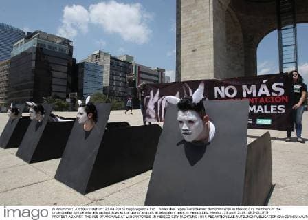 Bilder des Tages Tierschützer demonstrieren in Mexico City Members of the organization AnimaNaturalis protest against the use of animals in laboratory tests in Mexico City, Mexico, 23 April 2016. ANIMALISTS PROTEST AGAINST THE USE OF ANIMALS AT LABORATORIES IN MEXICO CITY !ACHTUNG: NUR REDAKTIONELLE NUTZUNG!  CDM001 20160424-635971322876436245