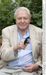 IMAGO ICONS: Sir David Attenborough July 13, 2011 - London, England, UK - Sir David Attenborough pictured today with a butterfly at the Butterfly Exhibition at the National History Museum. Sir David Attenborough, Butterfly Conservation President, today urged the public to take park in the world s biggest Butterfly Count to help find out if our species were affected by this year s record-breaking weather. The Big Butterfly Count 2011 runs from 16-31 July.  - ZUMAl94_