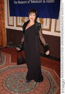 K28835AR.THE MUSEUM OF TELEVISION AND RADIO ANNUAL GALA DINNERAT THE WALDORF ASTORIA GRAND BALLROOM,NEW YORK New York .2 05 2003. 2003.CHITA RIVERA - ZUMAg115