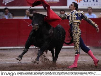 Spanish matador Paco Urena with his second bulls of the afternoon Apostador (524 kilograms) during the National Fair San Marcos in Aguascalientes, Mexico, 06 May 2016. National Fair San Marcos in Aguascalientes !ACHTUNG: NUR REDAKTIONELLE NUTZUNG!  MEX30 20160507-635981948415637078