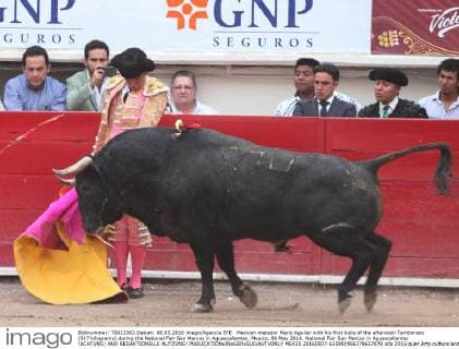 Mexican matador Mario Aguilar with his first bulls of the afternoon Tamborazo (517 kilograms) during the National Fair San Marcos in Aguascalientes, Mexico, 06 May 2016. National Fair San Marcos in Aguascalientes !ACHTUNG: NUR REDAKTIONELLE NUTZUNG!  MEX30 20160507-635981956378657078