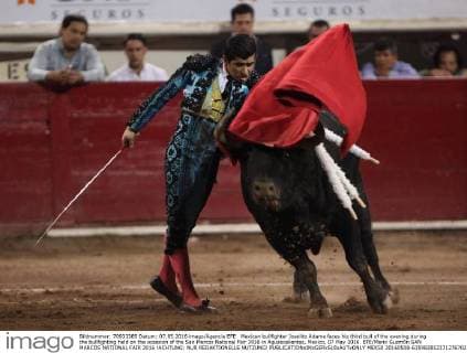 Mexican bullfighter Joselito Adame faces his third bull of the evening during the bullfighting held on the ocassion of the San Marcos National Fair 2016 in Aguascalientes, Mexico, 07 May 2016. EFE Mario Guzmán SAN MARCOS NATIONAL FAIR 2016 !ACHTUNG: NUR REDAKTIONELLE NUTZUNG!  MEX50 20160508-635982852371276702