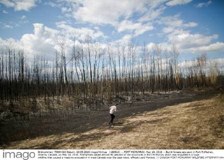 (160510) -- FORT MCMURRAY, May 10, 2016 -- Burnt forests are seen in Fort McMurray, Alberta, Canada, on May 10, 2016. Firefighters saved almost 90 percent of the structures in Fort McMurray which was engulfed in a huge wildfire that caused a massive evacuation in west Canada over the past week, officials said Monday. () CANADA-FORT MCMURRAY-WILDFIRE-AFTERMATH AmruxSalahuddien 