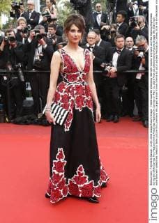 Frederique Bel attending the Cafe Society premiere and the Opening Night Gala during the 69th Cannes Film Festival at the Palais des Festivals in Cannes on May 11, 2016 Foto:xD.xBedrosianx xFuturexImage