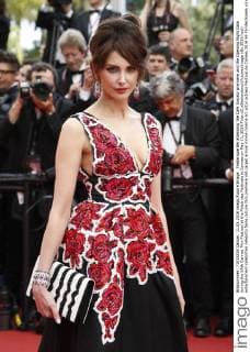 Frederique Bel attending the Cafe Society premiere and the Opening Night Gala during the 69th Cannes Film Festival at the Palais des Festivals in Cannes on May 11, 2016 Foto:xD.xBedrosianx xFuturexImage