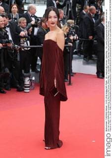 69. Festival de Cannes: Slack Bay - Ma Loute Filmpremiere Nicole Warne arrives on the red carpet before the screening of the film Ma Loute (Slack Bay) at the 69th annual Cannes International Film Festival in Cannes, France on May 13, 2016.  CAN20160513833 DAVIDxSILPA