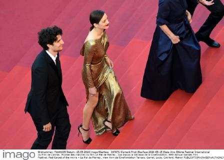 207671 Clement Prioli Starface 2016-05-15 Etats-Unis 69ème Festival International du Film de Cannes. Montee des marches du film Le Mal de Pierres , vue depuis la terrasse de la Cinefondation. 69th Annual Cannes Film Festival. Red Carpet of the movie « Le Mal de Pierres , view from de CineFondation Terrass. Garrel, Louis; Cotillard, Marion  Copyright: xClementxPriolix STAR_207671_046