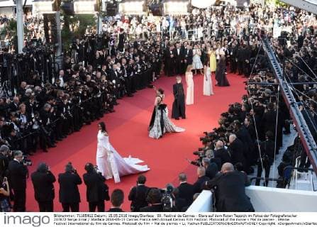 69. Festival de Cannes - Stars auf dem Roten Teppich im Fokus der Fotografenschar 207672 Serge Arnal Starface 2016-05-15 Cannes France 69th Annual Cannes Film Festival. Photocall of the movie « Mal de pierre» . 69ème Festival International du film de Cannes. Photocall du film « Mal de pierres » Li, Yuchun  Copyright: xSergexArnalx xStarfacex STAR_207672_020