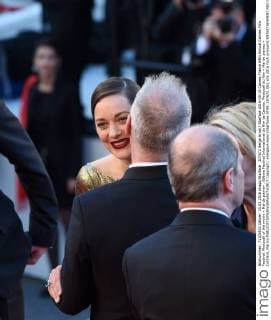 207672 Serge Arnal Starface 2016-05-15 Cannes France 69th Annual Cannes Film Festival. Photocall of the movie « Mal de pierre» . 69ème Festival International du film de Cannes. Photocall du film « Mal de pierres » Cotillard, Marion  Copyright: xSergexArnalx xStarfacex STAR_207672_061