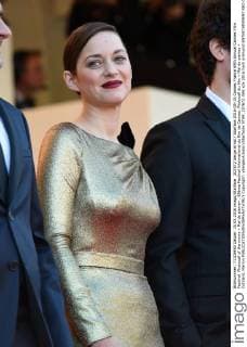207672 Serge Arnal Starface 2016-05-15 Cannes France 69th Annual Cannes Film Festival. Photocall of the movie « Mal de pierre» . 69ème Festival International du film de Cannes. Photocall du film « Mal de pierres » Cotillard, Marion  Copyright: xSergexArnalx xStarfacex STAR_207672_068