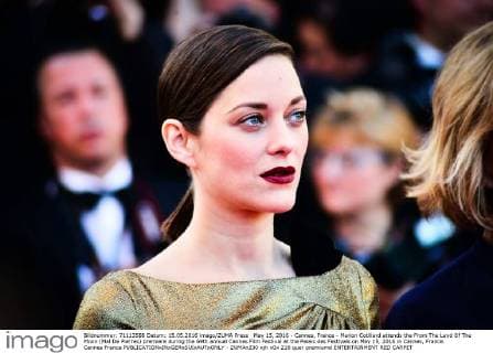 May 15, 2016 - Cannes, France - Marion Cotillard attends the From The Land Of The Moon (Mal De Pierres) premiere during the 69th annual Cannes Film Festival at the Palais des Festivals on May 15, 2016 in Cannes, France. Cannes France  - ZUMAn230