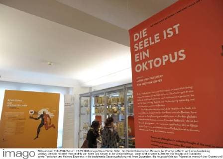 Im Medizinhistorischen Museum der Charite in Berlin wird eine Ausstellung gezeigt, die sich mit dem Verständnis von Seele und Körper in der Antike befasst. Dabei sind einzelne Aufsteller mit Texten und Graphiken sowie Texttafeln und kleinere Exponate in die bestehende Dauerausstellung mit ihren Exponaten, die hauptsächlich aus Präparaten menschlicher Organe und Knochen besteht, eingebunden. Ausstellung Die Seele ist ein Oktopus - antike Vorstellungen vom belebten Körper