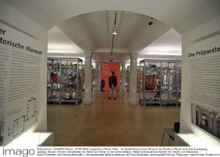 Im Medizinhistorischen Museum der Charite in Berlin wird eine Ausstellung gezeigt, die sich mit dem Verständnis von Seele und Körper in der Antike befasst. Dabei sind einzelne Aufsteller mit Texten und Graphiken sowie Texttafeln und kleinere Exponate in die bestehende Dauerausstellung mit ihren Exponaten, die hauptsächlich aus Präparaten menschlicher Organe und Knochen besteht, eingebunden. Ausstellung Die Seele ist ein Oktopus - antike Vorstellungen vom belebten Körper