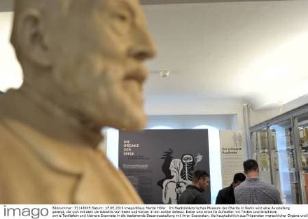 Im Medizinhistorischen Museum der Charite in Berlin wird eine Ausstellung gezeigt, die sich mit dem Verständnis von Seele und Körper in der Antike befasst. Dabei sind einzelne Aufsteller mit Texten und Graphiken sowie Texttafeln und kleinere Exponate in die bestehende Dauerausstellung mit ihren Exponaten, die hauptsächlich aus Präparaten menschlicher Organe und Knochen besteht, eingebunden. Im Vordergrund die Büste von Rudolf VIrchow. Ausstellung Die Seele ist ein Oktopus - antike Vorstellungen vom belebten Körper