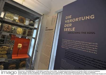 Im Medizinhistorischen Museum der Charite in Berlin wird eine Ausstellung gezeigt, die sich mit dem Verständnis von Seele und Körper in der Antike befasst. Dabei sind einzelne Aufsteller mit Texten und Graphiken sowie Texttafeln und kleinere Exponate in die bestehende Dauerausstellung mit ihren Exponaten, die hauptsächlich aus Präparaten menschlicher Organe und Knochen besteht, eingebunden. Ausstellung Die Seele ist ein Oktopus - antike Vorstellungen vom belebten Körper