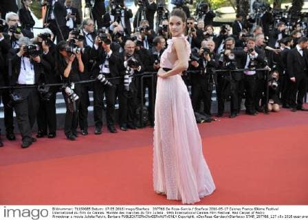 207766 De Rosa-Garcia Starface 2016-05-17 Cannes France 69ème Festival International du Film de Cannes. Montée des marches du film Julieta . 69th International Cannes Film Festival. Red Carpet of Pedro Almodovar s movie Julieta Palvin, Barbara  Copyright: xDexRosa-Garciax xStarfacex STAR_207766_127