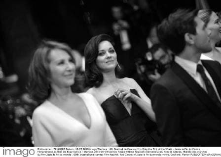 69. Festival de Cannes: It s Only the End of the World - Juste la Fin du Monde Filmpremiere 207867 De Rosa-Garcia Starface 2016-05-19 Cannes France 69ème Festival International du Film de Cannes. Montée des marches du film Juste la fin du monde . 69th International cannes Film festival. Red Carpet of Juste la fin du monde movie. Cotillard, Marion  Copyright: xDexRosa-Garciax xStarfacex STAR_207867_115