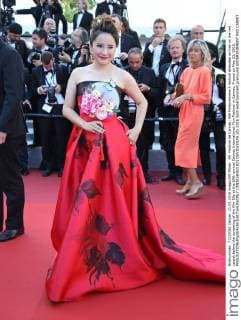 69. Festival de Cannes: Elle Filmpremiere A festival attendee arrives on the red carpet before the screening of the film Elle at the 69th annual Cannes International Film Festival in Cannes, France on May 21, 2016.  CAN20160521821 DAVIDxSILPA