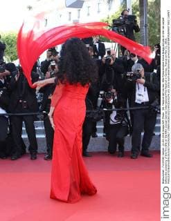 69. Festival de Cannes: Elle Filmpremiere Sonia Braga arrives on the red carpet before the screening of the film Elle at the 69th annual Cannes International Film Festival in Cannes, France on May 21, 2016.  CAN20160521832 DAVIDxSILPA