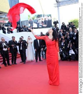 69. Festival de Cannes: Elle Filmpremiere Sonia Braga arrives on the red carpet before the screening of the film Elle at the 69th annual Cannes International Film Festival in Cannes, France on May 21, 2016.  CAN20160521834 DAVIDxSILPA