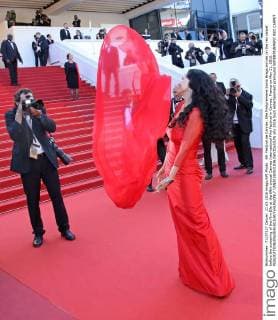 69. Festival de Cannes: Elle Filmpremiere Sonia Braga arrives on the red carpet before the screening of the film Elle at the 69th annual Cannes International Film Festival in Cannes, France on May 21, 2016.  CAN20160521836 DAVIDxSILPA
