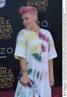 Singer and songwriter Pink , aka Alecia Moore attend the premiere of the motion picture fantasy Alice Through the Looking Glass at the El Capitan Theatre in the Hollywood section of Los Angeles on May 23, 2016. Storyline: Nineteen-year-old Alice returns to the magical world from her childhood adventure, where she reunites with her old friends and learns of her true destiny: to end the Red Queen s reign of terror.  LAP2016052313 JIMxRUYMEN