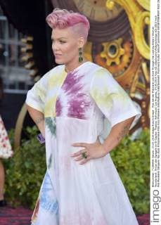 Pink bei der Premiere von Alice Through the Looking Glass Alice im Wunderland: Hinter den Spiegeln im El Capitan Theatre, Hollywood. Los Angeles, 24.05.2016 Foto:xD.xStarbuckx xFuturexImage