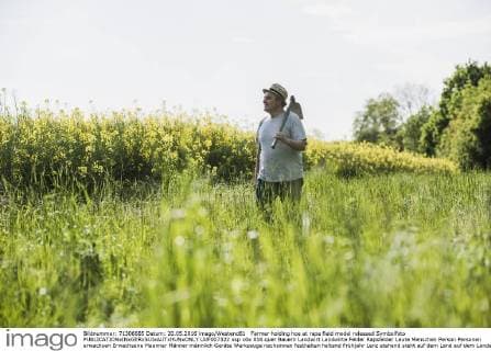 Farmer holding hoe at rape field model released Symbolfoto  UUF007322